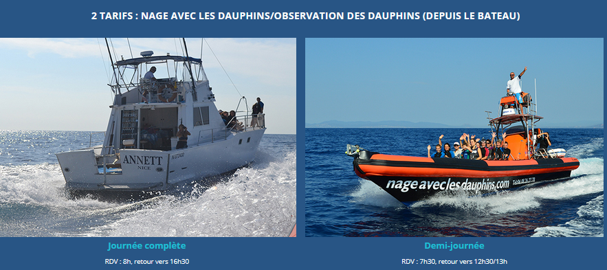 nager-dauphin